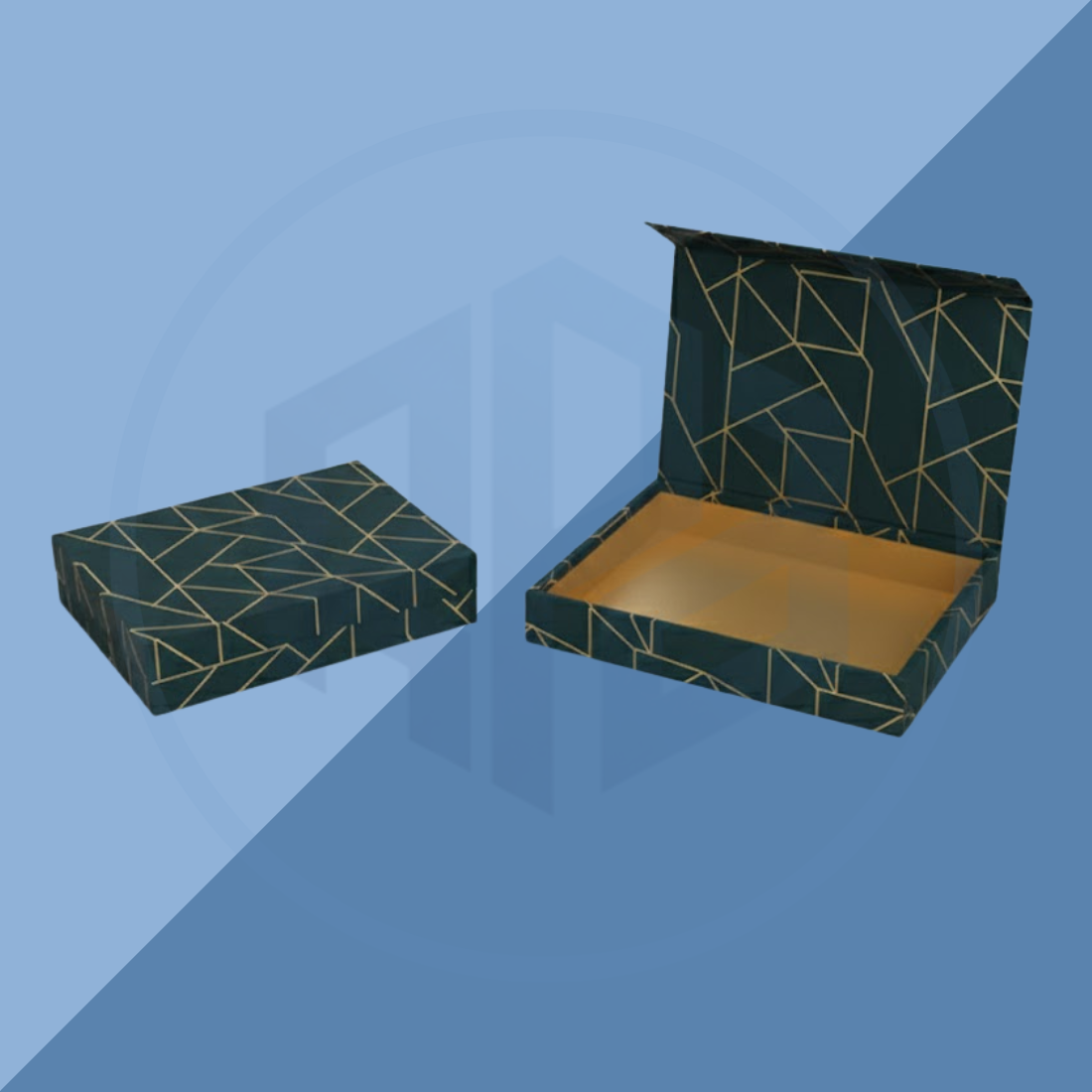 Hinged Lid Retail Presentation Packaging Boxes