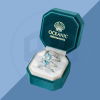 Rigid Ring Packaging Boxes (11) Rigid Ring Packaging Boxes